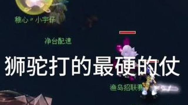 狮驼打的最硬的仗#梦幻西游电脑版 #梦幻西游创梦计划 #梦幻西游