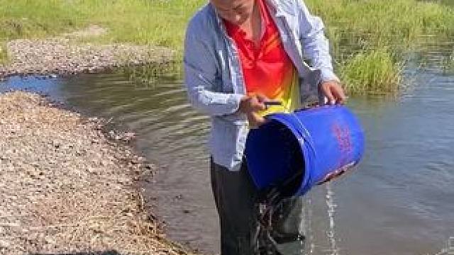 #户外捕鱼 #好多鱼