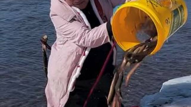 #户外捕鱼 #好多鱼