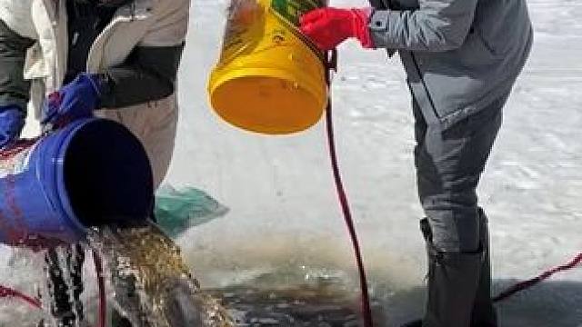 #户外捕鱼 #好多鱼