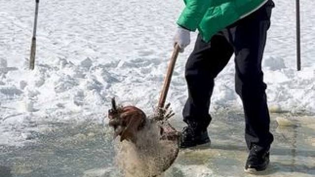 #户外捕鱼 #好多鱼