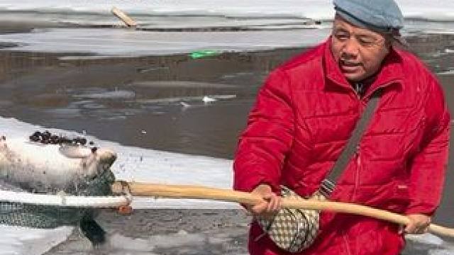 #户外捕鱼 #好大一条鱼