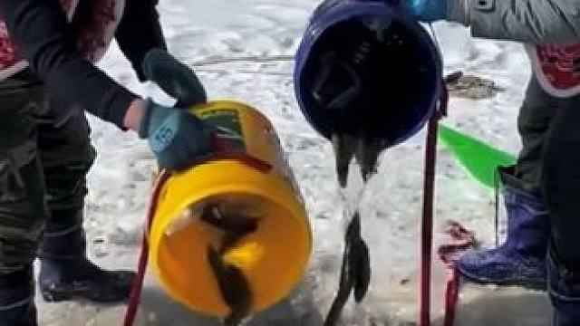 #户外捕鱼 #好多鱼