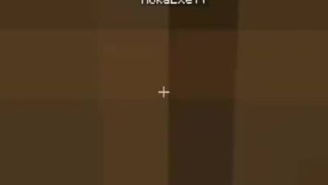 #我的世界 #Minecraft