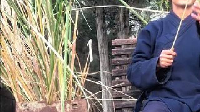 小猫出现带来亮光#诸事顺利 #误入镜头的路人主角 #猫咪 #道观日常