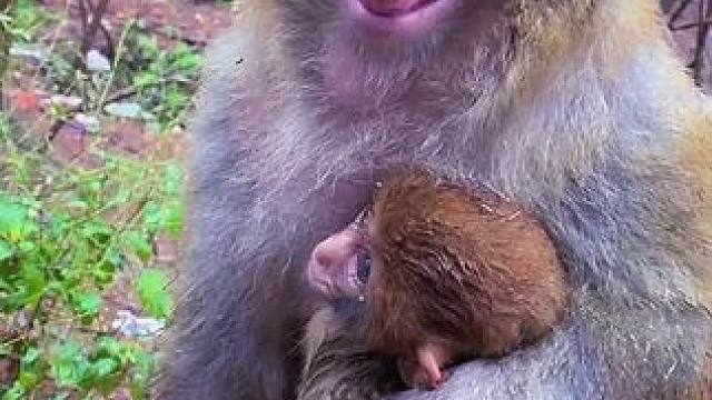 老表啥意思#看一遍笑一遍