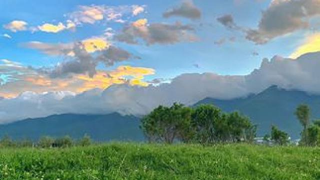 你吃过南极磷虾吗？炒菜煲汤放一点味道真的太鲜美了！#南极磷虾 #磷虾 #磷虾干 #虾米