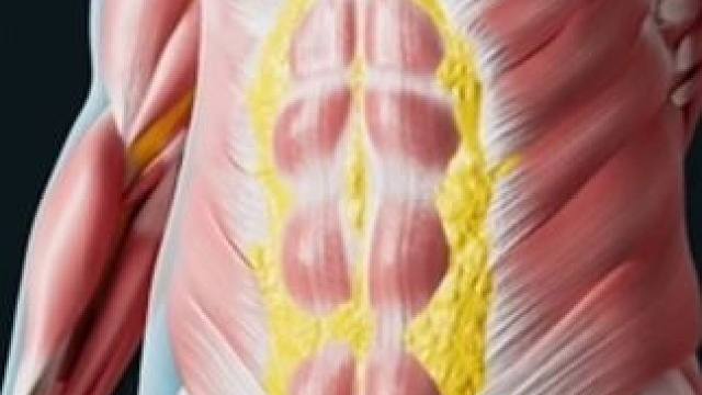 评论区打出你的运动项目和身高体重 我给你安排每日左旋计划 想逆袭的评论区#左旋 #自律 #运动