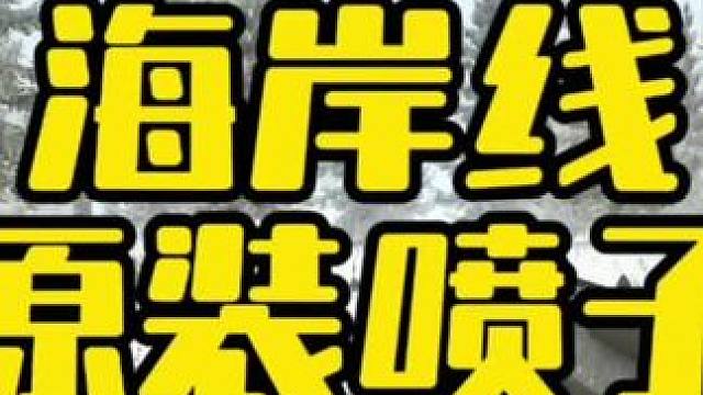 #逃离塔科夫  海岸线原装喷子