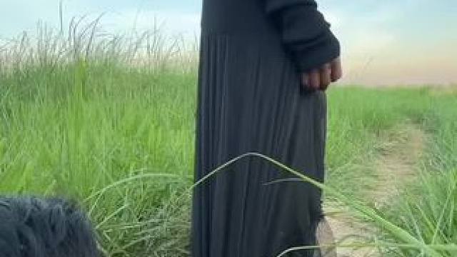 东南亚小土狗来了哈哈 #我的乡村生活 #田园生活乐趣多 #看一遍笑一遍