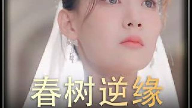 《春树逆缘》全集#好剧推进  #精选好剧  #百亿剧好看计划