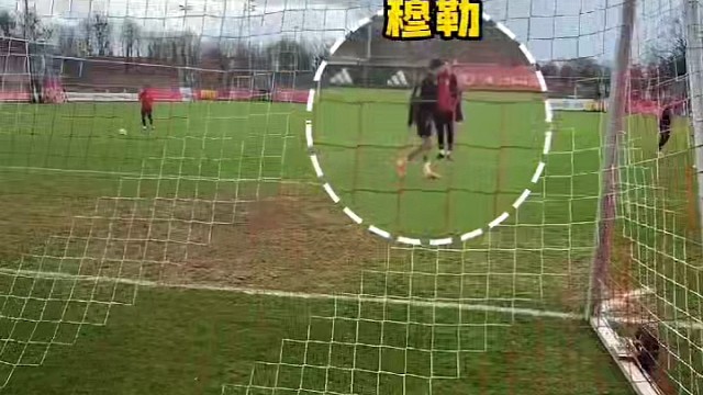 穆sir，收手吧！