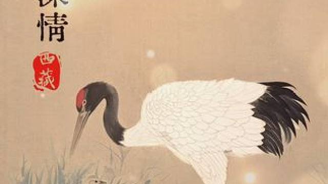 微风拂过水面，黑颈鹤母子相互依偎，尽显母子情深