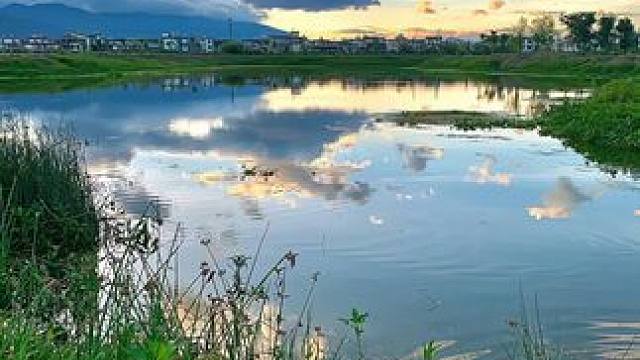 你吃过南极磷虾吗？炒菜煲汤放一点味道真的太鲜美了！#南极磷虾 #磷虾 #磷虾干 #虾米