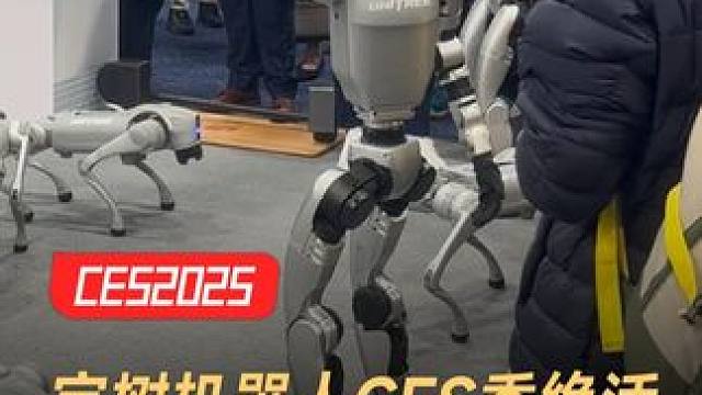 宇树机器人CES秀绝活，老美破防抢断货 #宇树科技  #宇树机器人  #CES2025  #机器人 