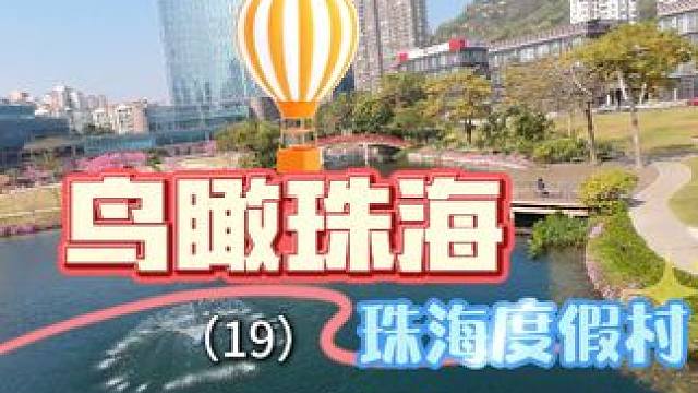 鸟瞰珠海（19）——度假村风铃木 时值三九节气，珠海度假村的紫色风铃木鲜艳夺目，成为冬天里一道亮丽的