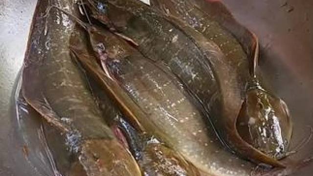 东南亚乡村美食 #农村美食#东南亚美食