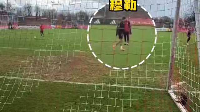 穆sir，收手吧！