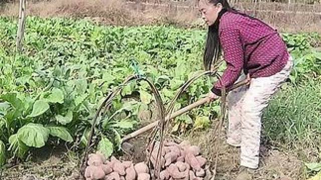 山卡卡里的农村大姐学费了开直播每天收获满满您还在恐播怕播不敢开播了不知说什么吗#记录真实生活 #农村