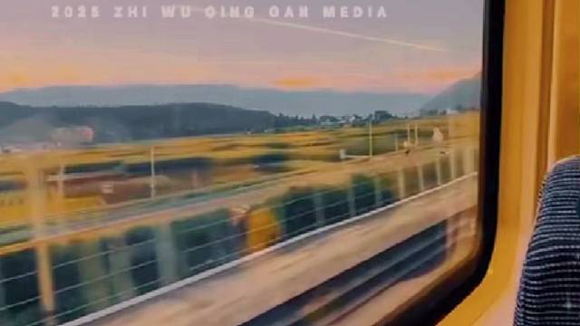 祝大家2025好运连连。