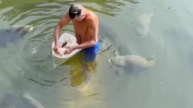 #这鱼哪个钓友看了不羡慕 #钓鱼的乐趣只有钓鱼人懂 #钓鱼人的2024年