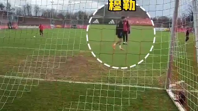 穆sir，收手吧！