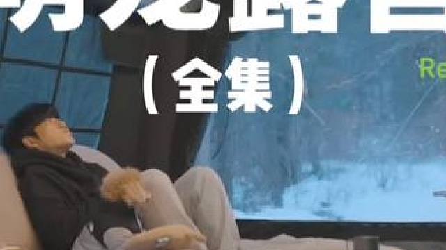 萌宠露营（三）#露营 #助眠 #解压 #萌宠 #雪