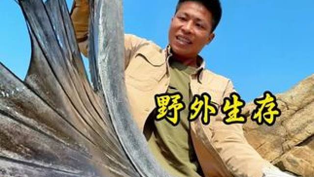 野外生存 第44集｜退潮后的礁石区，仔细寻找会发现搁浅的各种海货，总是有意想不到的惊喜和收获#户外 