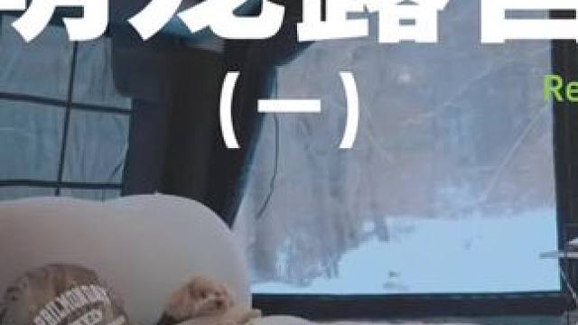 萌宠露营（一）#露营 #解压 #助眠 #萌宠 #雪