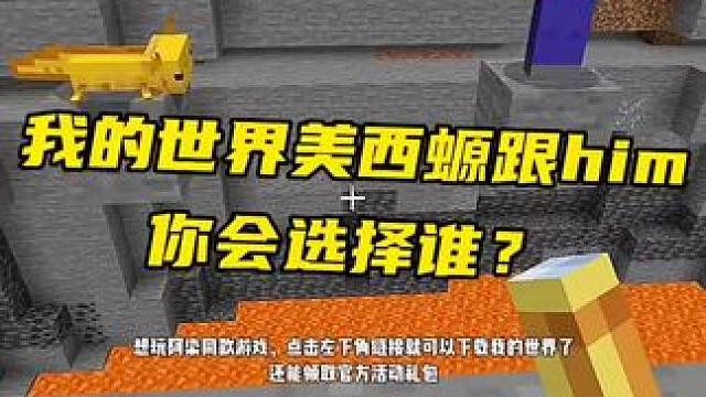 我的世界him跟美西螈你会选择救谁？ #你想玩的这里都好 #我的世界存档 #我的世界中国版