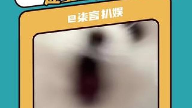 真是一场酣畅淋漓的视听盛宴啊 红黑刺猬夏特太帅了吧#刺猬索尼克3 #刺猬索尼克3上映