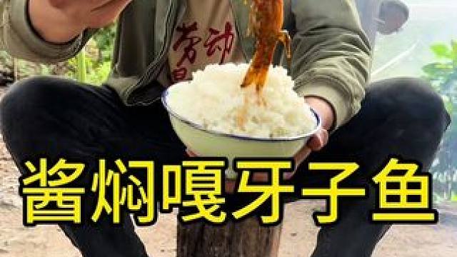 #农村美食 #农村生活 #地方特色美食 
酱焖嘎牙子鱼太嫩了好吃啊