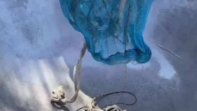 东南亚特色美食 #农村生活 #我的乡村生活 #舌尖上的美食