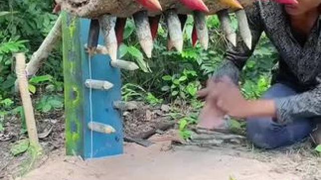 保护野生动物 #农村生活 #我的乡野山居生活 #保护野生动物 #野生动物零距离