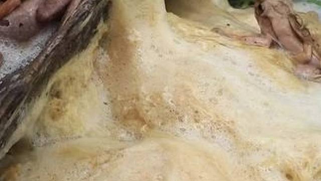 真材实料才能做出好味道~