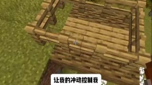 #我的世界 #Minecraft