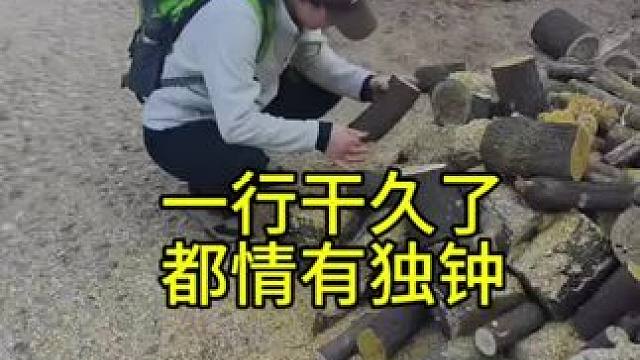 干我们这一行，对“木材”都情有独钟