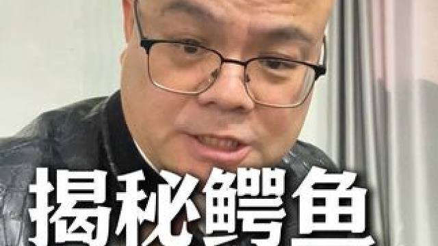 揭秘鳄鱼皮衣成本#CES2025 #鳄鱼皮衣 #鳄鱼哥 #鳄鱼