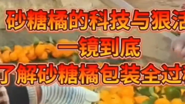 现在的水果保质期，一年12个月