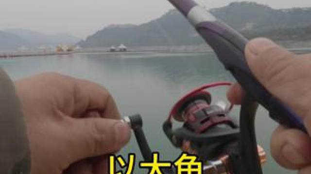 这个窝有戏有戏#真实户外 #原创视频 