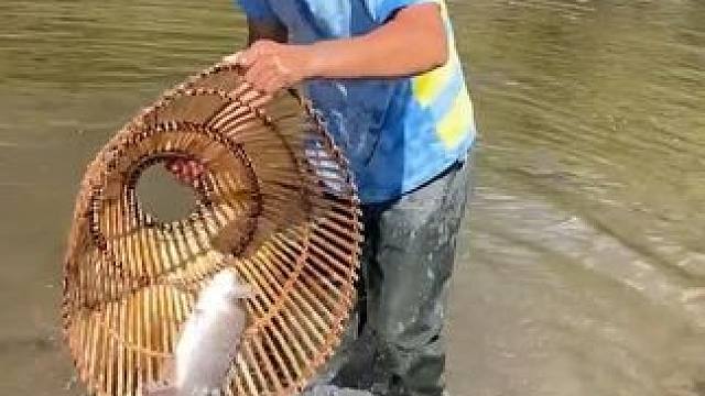 #户外捕鱼 #好大一条鱼