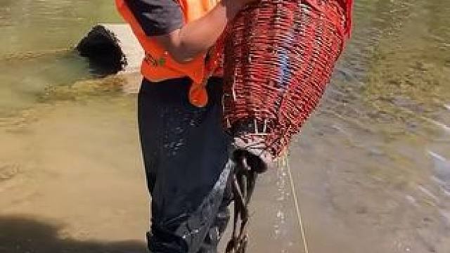 #户外捕鱼 #好多鱼