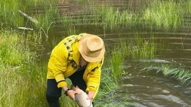 #户外捕鱼 #好大一条鱼