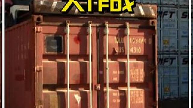 45000美刀买下集装箱盲盒，竟开出了一个类似外星人的东西！ #纪录片 #盲盒