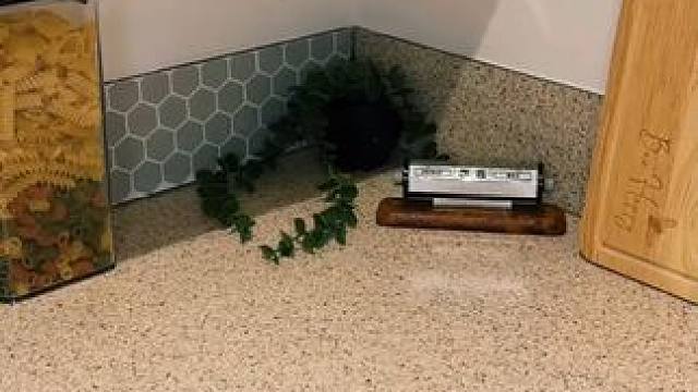 朋友：哇趣，买台灯的钱都省了~ #玩个很新的东西  #小夜灯