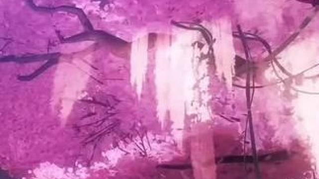 小露赢麻了，黑卡皮，超值 #战双帕弥什新春版本 #战双帕弥什