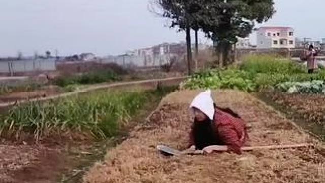 支持三农扶持三农发展~