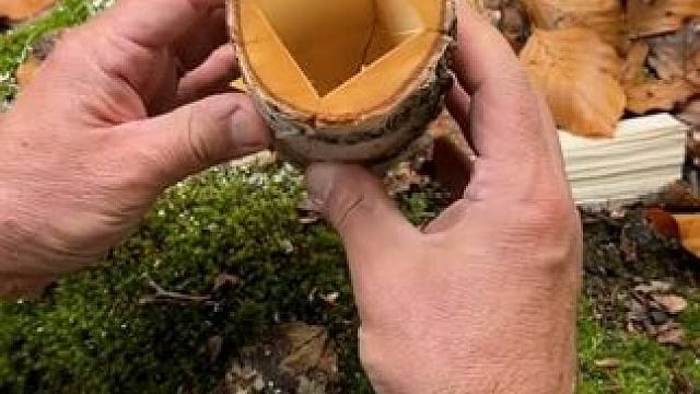 户外制作蜡烛小技巧 #露营报告 #露营技巧报告