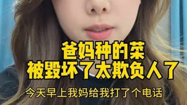 欺负两个老人算什么本事？爸妈在家门口旁种了点菜被人家一夜之间给恶意毁坏找车给铲平盖起来了，而且在没有
