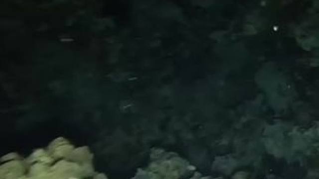 在海底捕鱼#海底#捕鱼#捕鱼达人 #捕鱼高手 #第一视觉看海底捕鱼